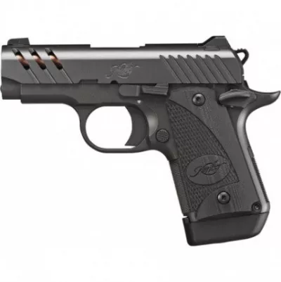 MICRO9 ESV GRAY (9mm)